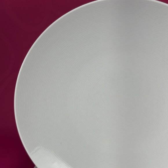 Set of 2 Thomas Rosenthal Germany dinner plates - Picture 2 of 4